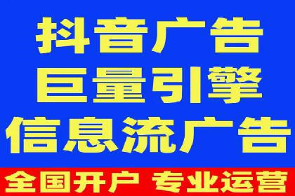 搜索引擎营销（SEM）的投放策略与效果评估——以某行业领先企业的案例分析